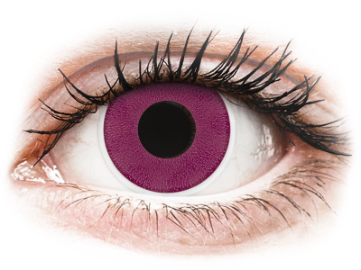 ColourVUE Crazy Lens - Purple - nedioptrické (2 čočky) - Barevné kontaktní čočky