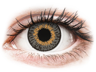Expressions Colors Grey - dioptrické (1 čočka) - Barevné kontaktní čočky
