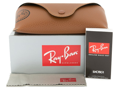 Ray-Ban Justin RB4165 865/T5 - Preview pack (illustration photo)