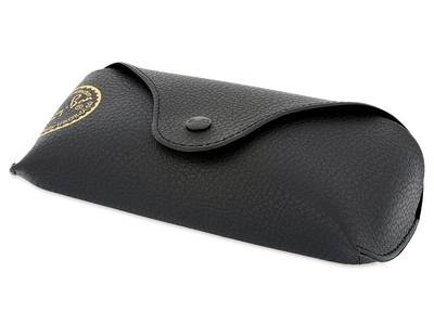 Ray-Ban RB4202 601/8G - Original leather case (illustration photo)