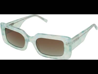 Hawkers Jam Sea Shell Nature